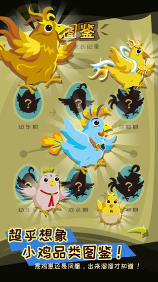 鸡不可失图5