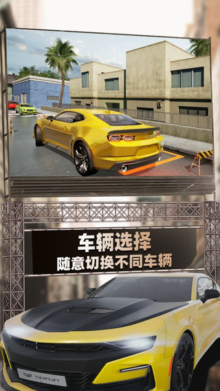 停车模拟图2