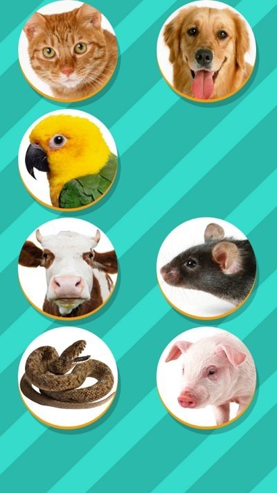 PetTranslator图3