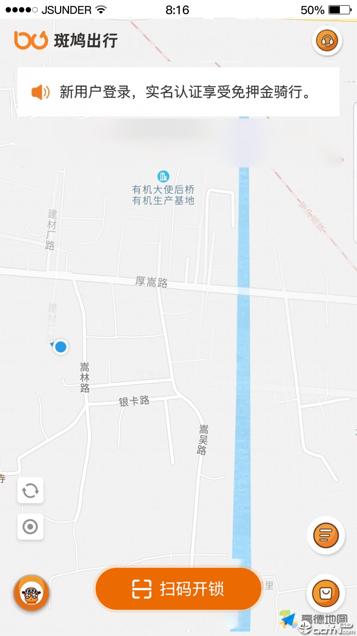 斑鸠出行图4