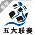 欧冠五大联赛图标