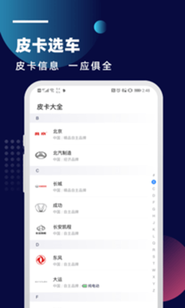 皮卡车市图2