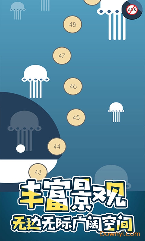 第兔元素图1