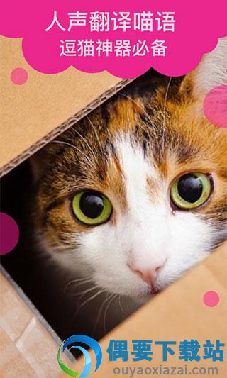 猫语翻译图3