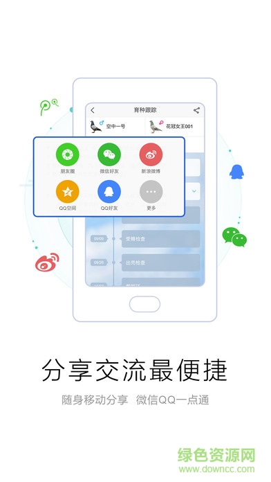 爱鸽者截图5