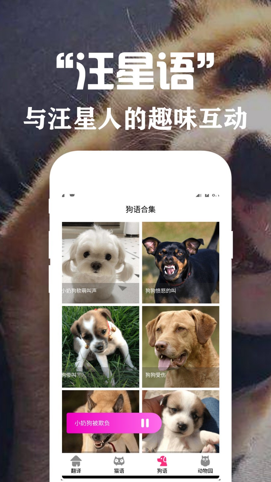 狗语翻译交流器免费版图3