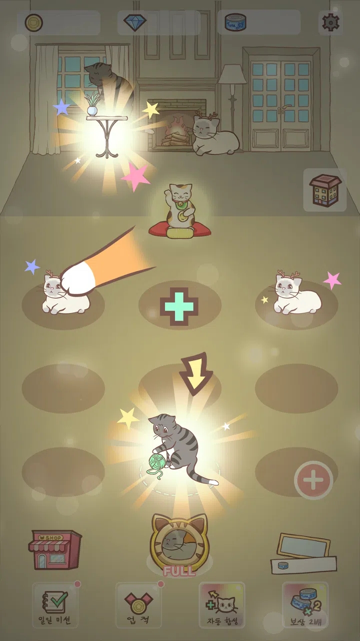 猫咪宿舍