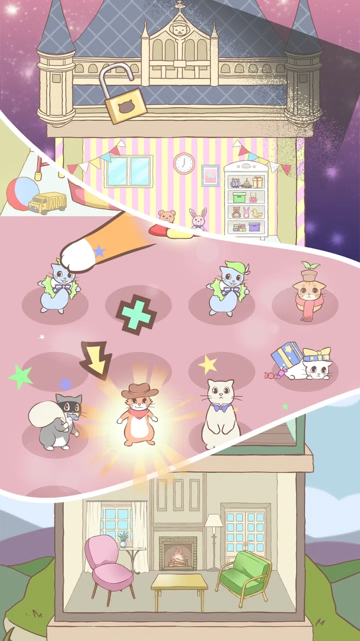 猫咪宿舍图5