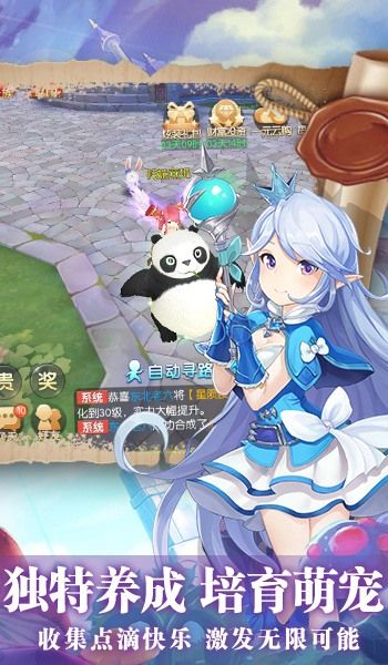无序次元测试服