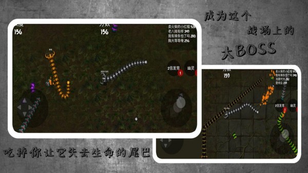 蛇蛇进化作战手游