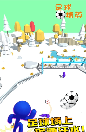 足球精英图3