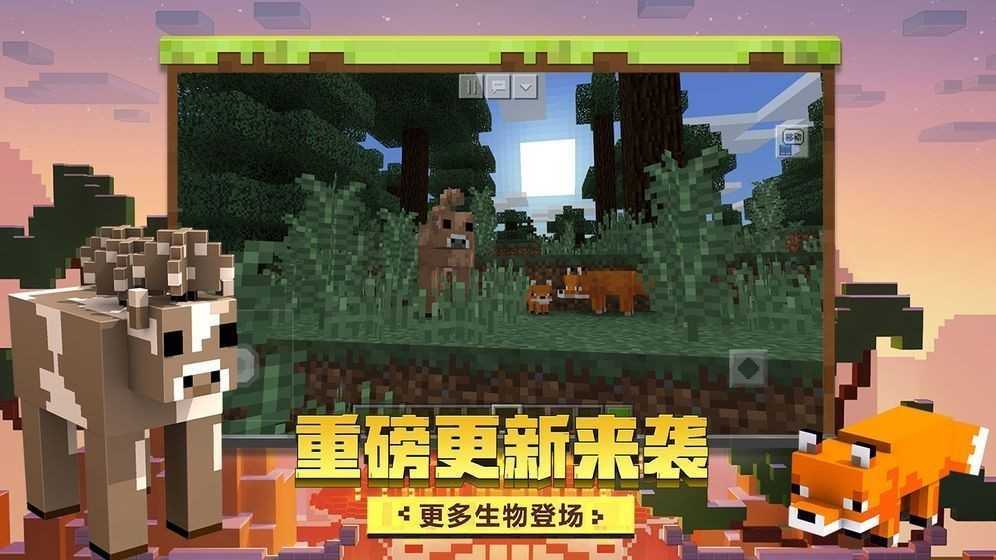 我的世界最新安卓版2.12.5.246529图3