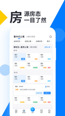 牛油果房东图1