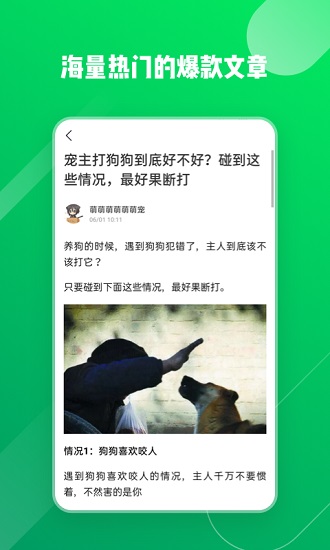 乘法探险家最新版图1