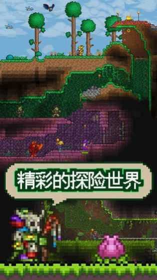 泰拉瑞亚国服免费版TERRARIA