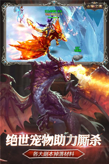 永恒之魂九游版