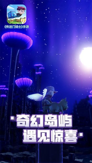 传送门骑士单机版图5