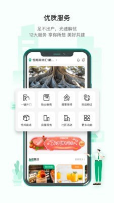 双林汇图3