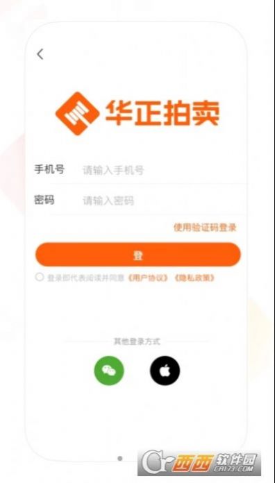 华正拍车网图3