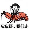 皮皮虾我们走游戏安卓版