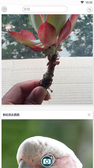 截图4