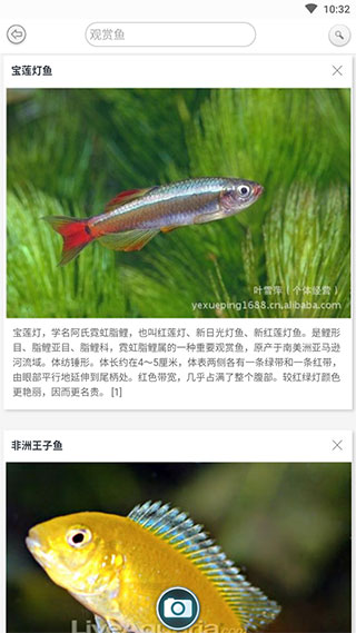 截图5
