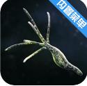 孢子的起源40.54图标