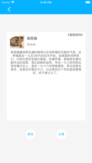 宠物百科图1