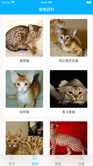 宠物百科图2