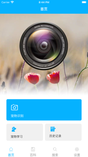 宠物百科图3