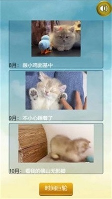 猫的一生重启模拟器