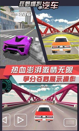 狂野模拟汽车图2