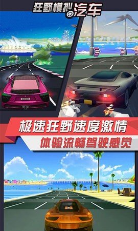 狂野模拟汽车图3