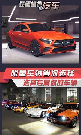 狂野模拟汽车图1