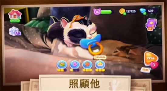 我的可爱猫咪图2