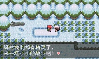 口袋妖怪最强进化3.0中文版图3