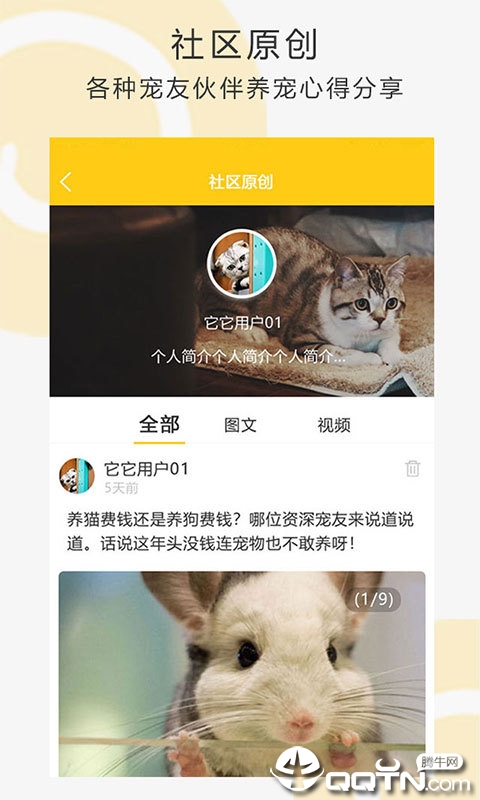我爱它它图3
