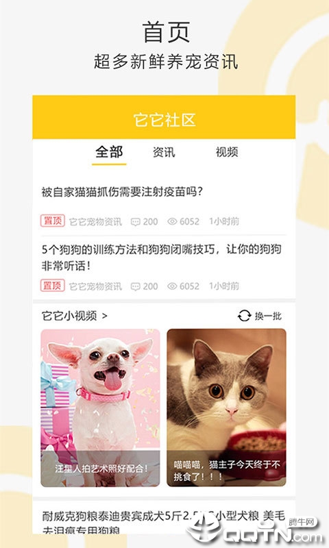 我爱它它图2
