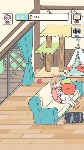 猫咪饲养日常图4