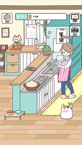 猫咪饲养日常图3