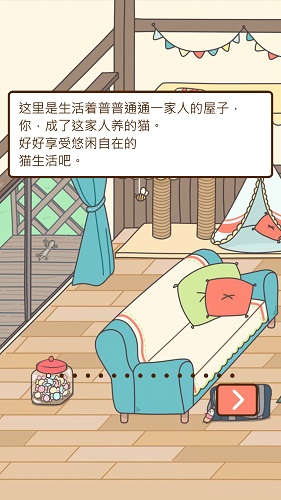 猫咪饲养日常图2
