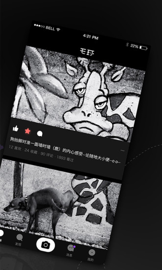 毛球图2