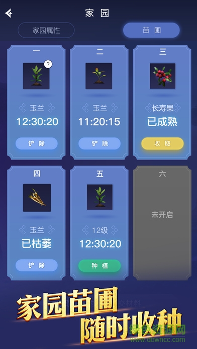 新倩女幽魂手游电脑版图2