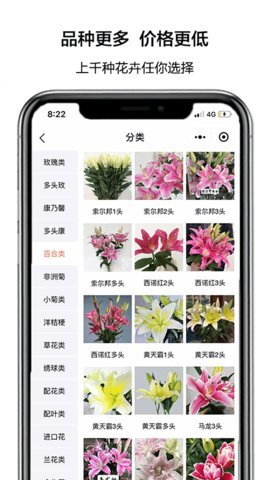 花比三家截图3