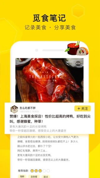 觅食蜂截图1