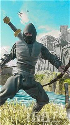 忍者刺客武士图3