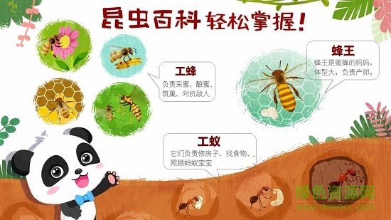 宝宝巴士奇妙昆虫世界游戏免费版图3