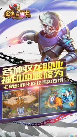 公主的骑士手游图1