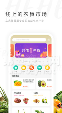 禾禾网图2