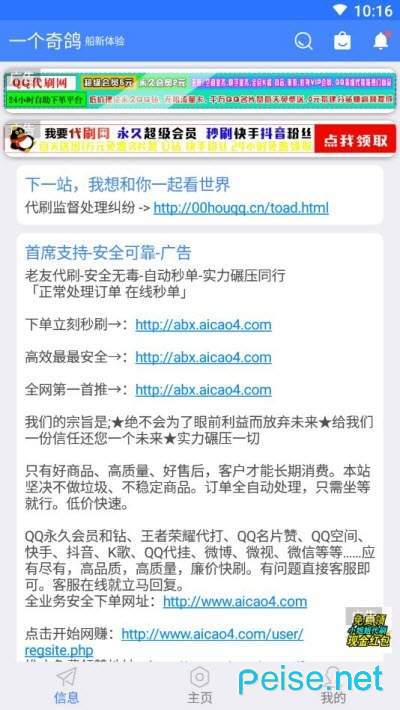 一个奇鸽船新体验图2